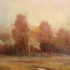 Autumn-Morning-Light