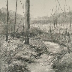 Drawing