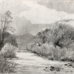 Fading-Light-1