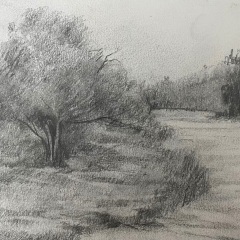 IB-DRAWING