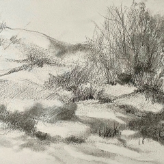 Drawing