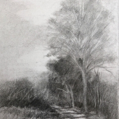 Onota-Path