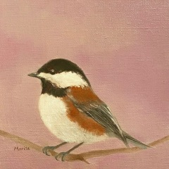 Chestnut-backed-Chickadee