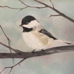 Little-Chickadee