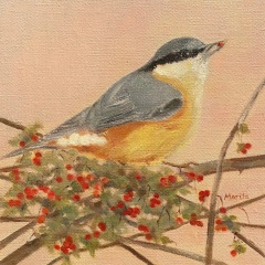 Red-breasted-Nuthatch